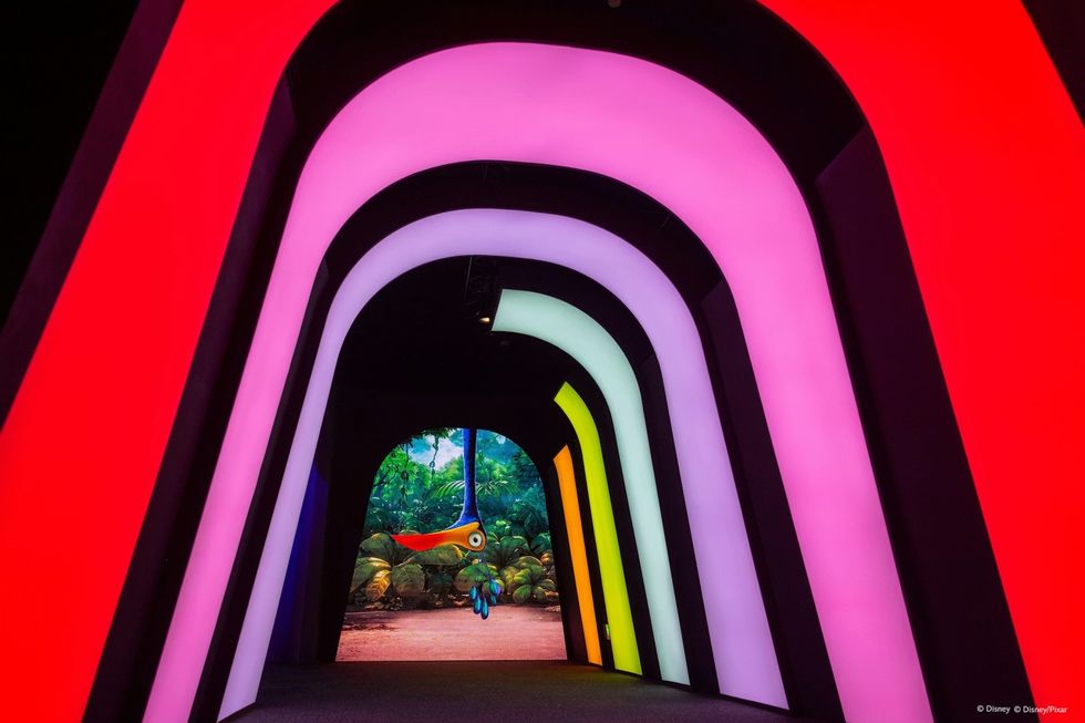 Pixar Adventurous Journey Kevin from the movie UP