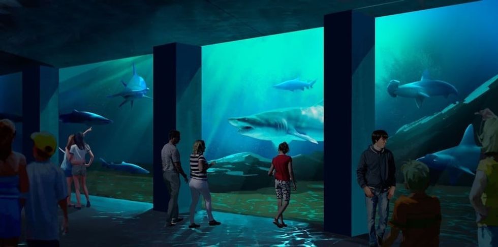 plans for the expansion. Brian Davis says sharks are misunderstood