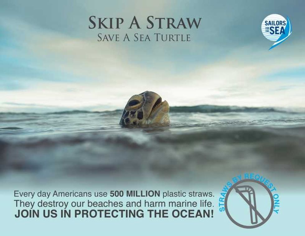 plastic pollution skip a straw poster with turtle