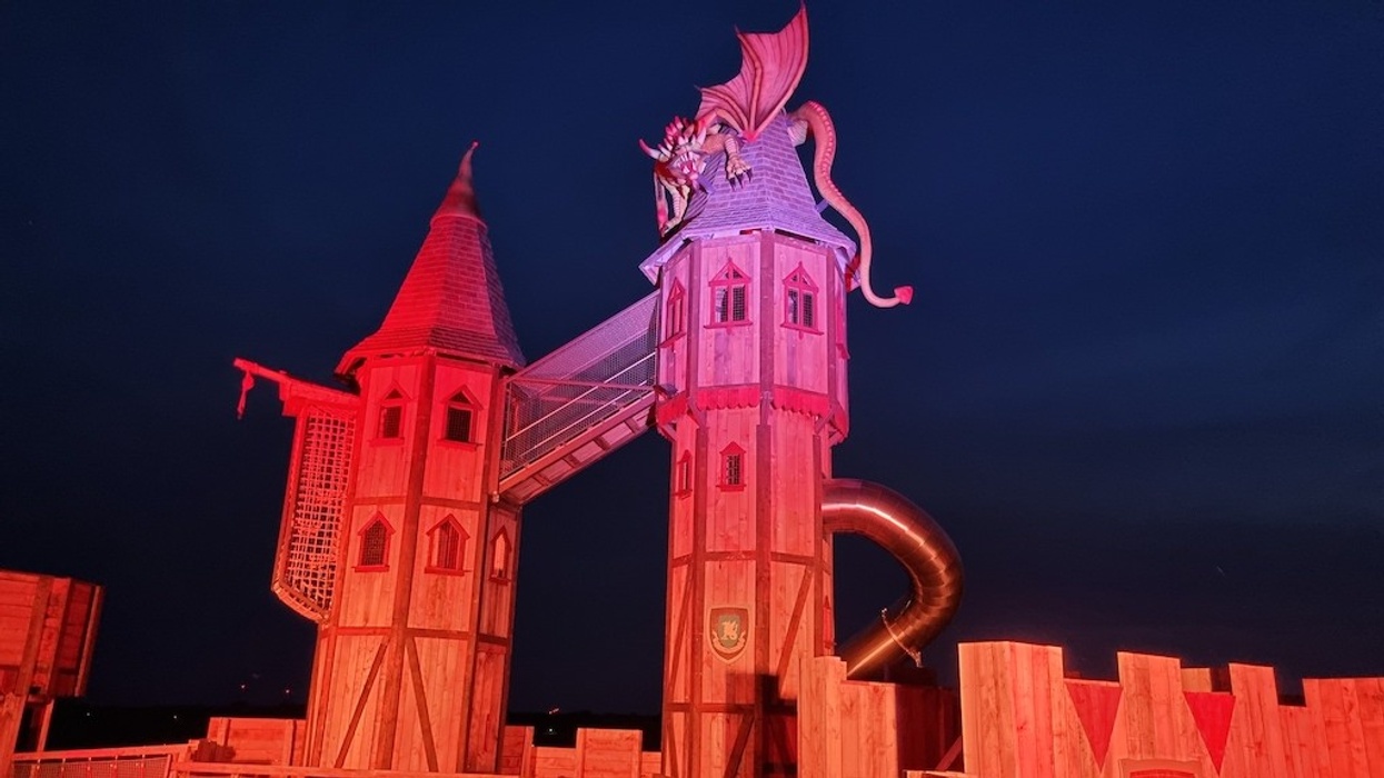 play castle Billybird Dragon Kingdom