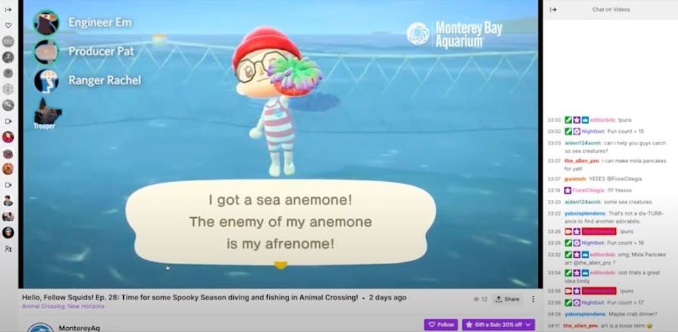 Playing Animal Crossing on Twitch