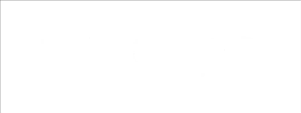 Pleyo logo