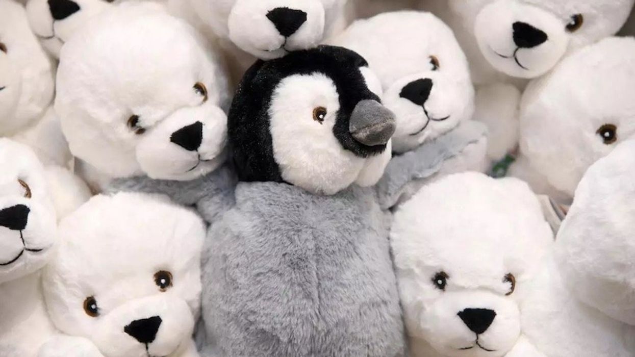 Plushies at Monterey Bay shop