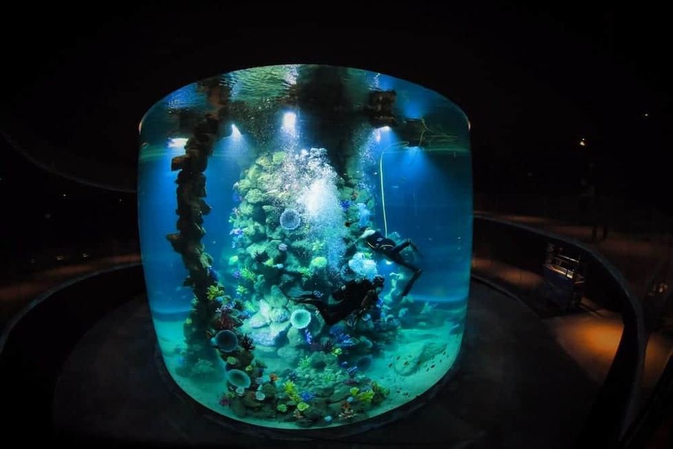 Poema-del-Mar_Kiessling-Group