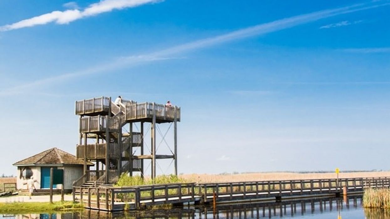 Point pelee national park tower