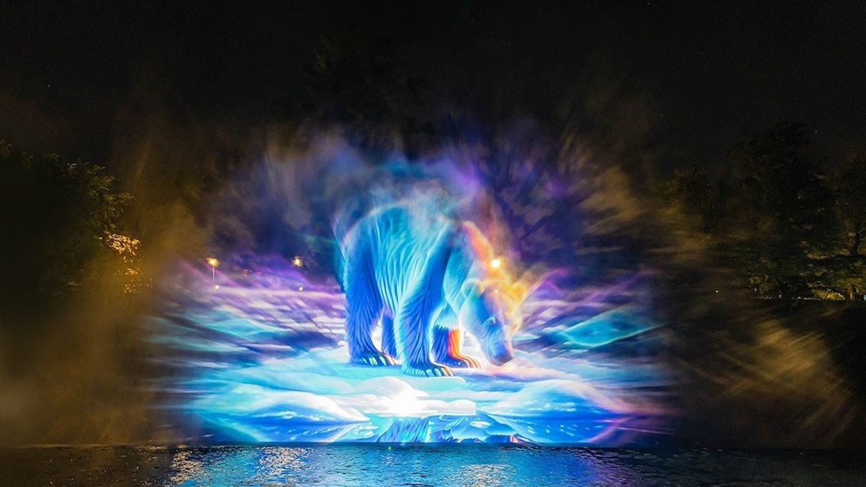 Polar Bear Projection