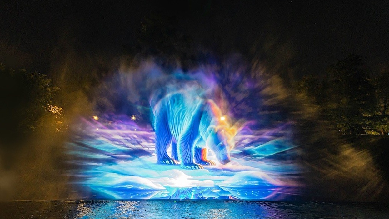 Polar Bear Projection
