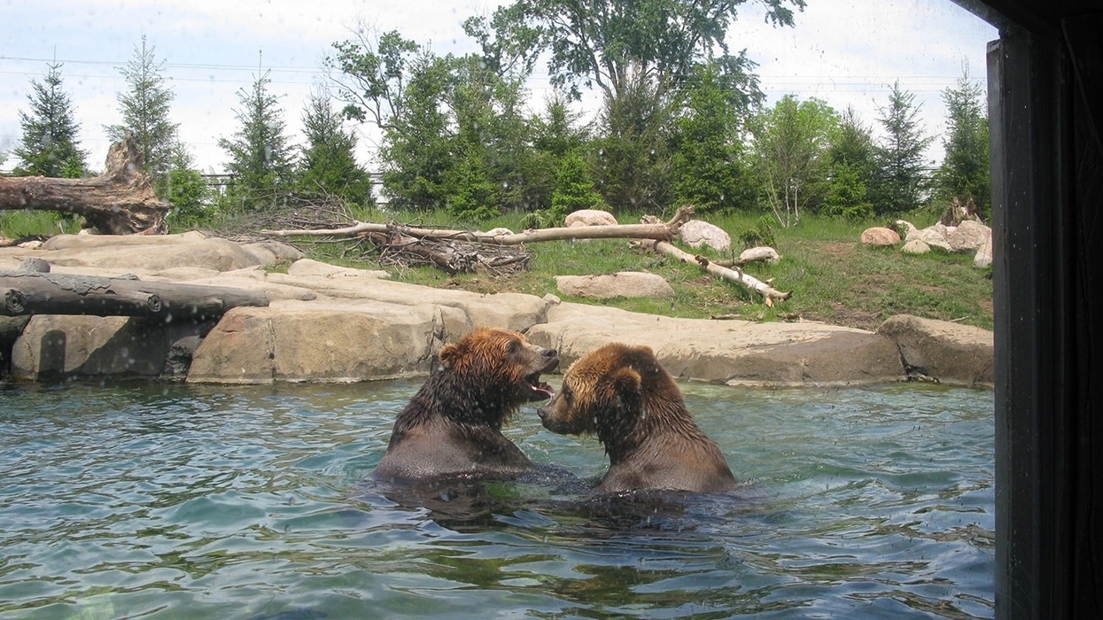 Polar Frontier Columbus Zoo PJA Architects