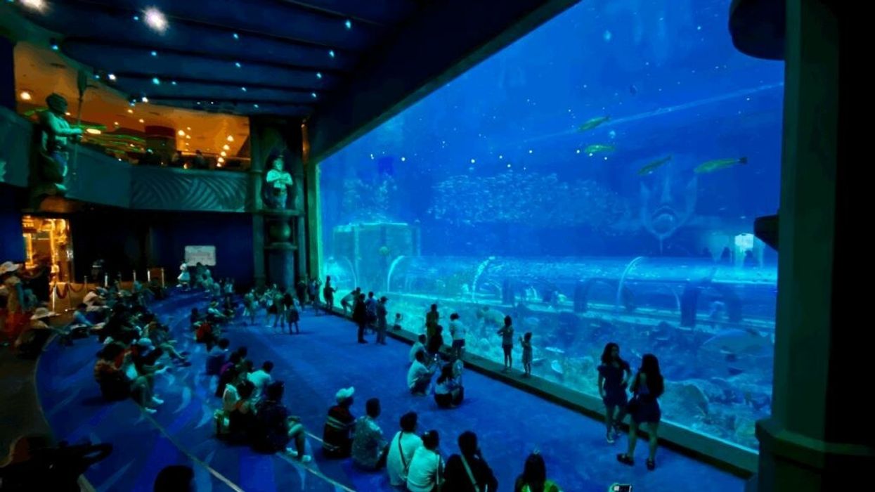 Polin Aquarium VinWonders Phu Quoc Sea Shell