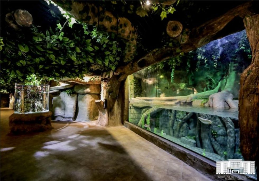 Polin Aquariums Jungle Magic Aquarium Uzbekistan