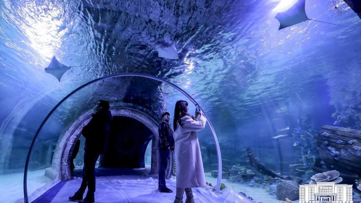 Polin Aquariums Magic Aqaurium Tunnel Uzbekistan