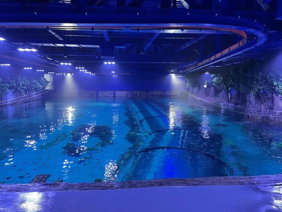 Polin Aquariums National Aquarium Abu Dhabi Main Tank Top view