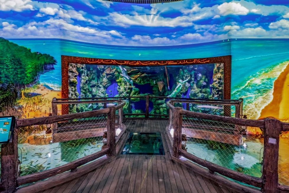 Polin Aquariums The National Aquarium Abu Dhabi Exhibit