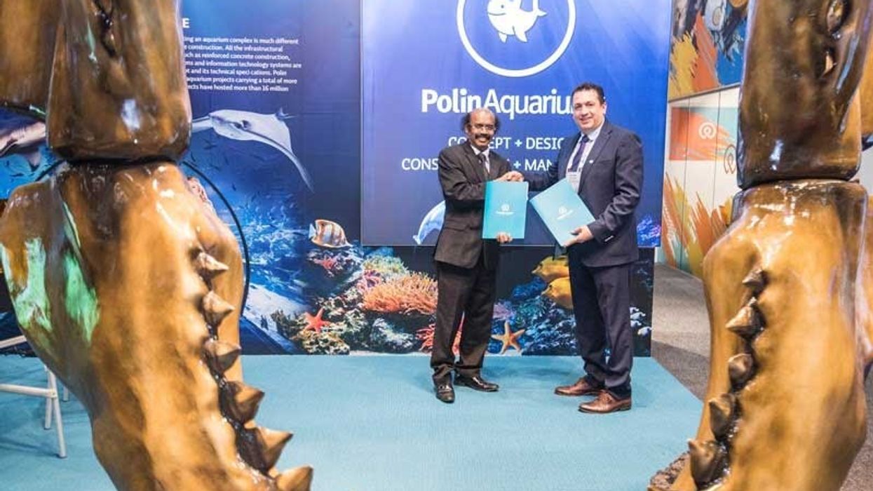 Polin Aquariums VGP Marine Kingdom India