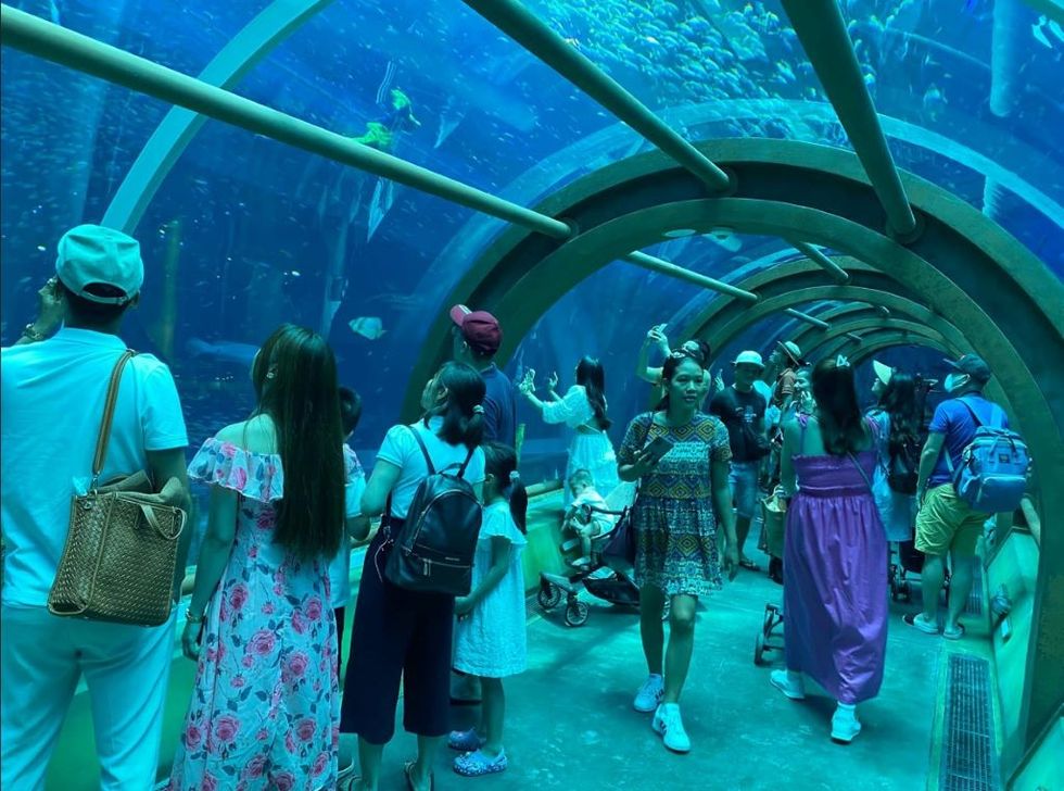 Polin Aquariums Vietnam Sea Shell