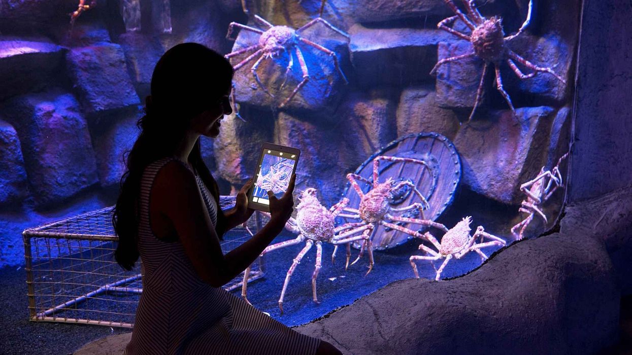 Polin's Funtastic Aquarium concept set to debut in Iran 2018