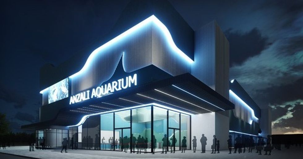 Polin's Funtastic Aquarium concept set to debut in Iran 2018