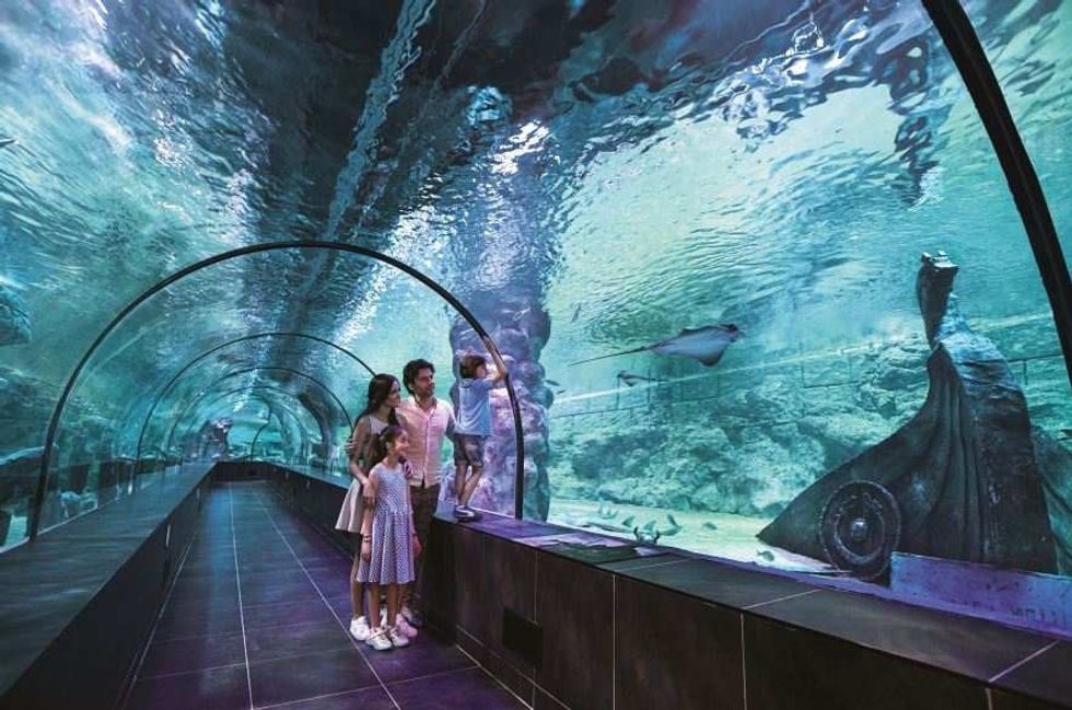 Polin's Funtastic Aquarium concept set to debut in Iran 2018