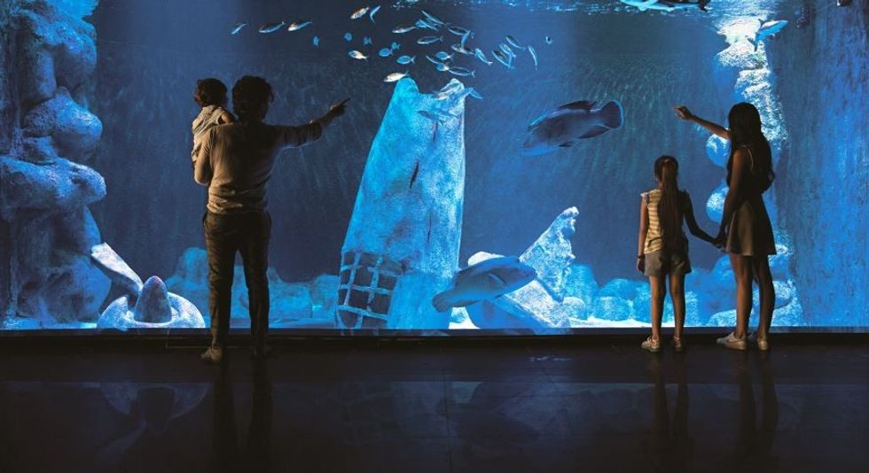 Polin's Funtastic Aquarium concept set to debut in Iran 2018