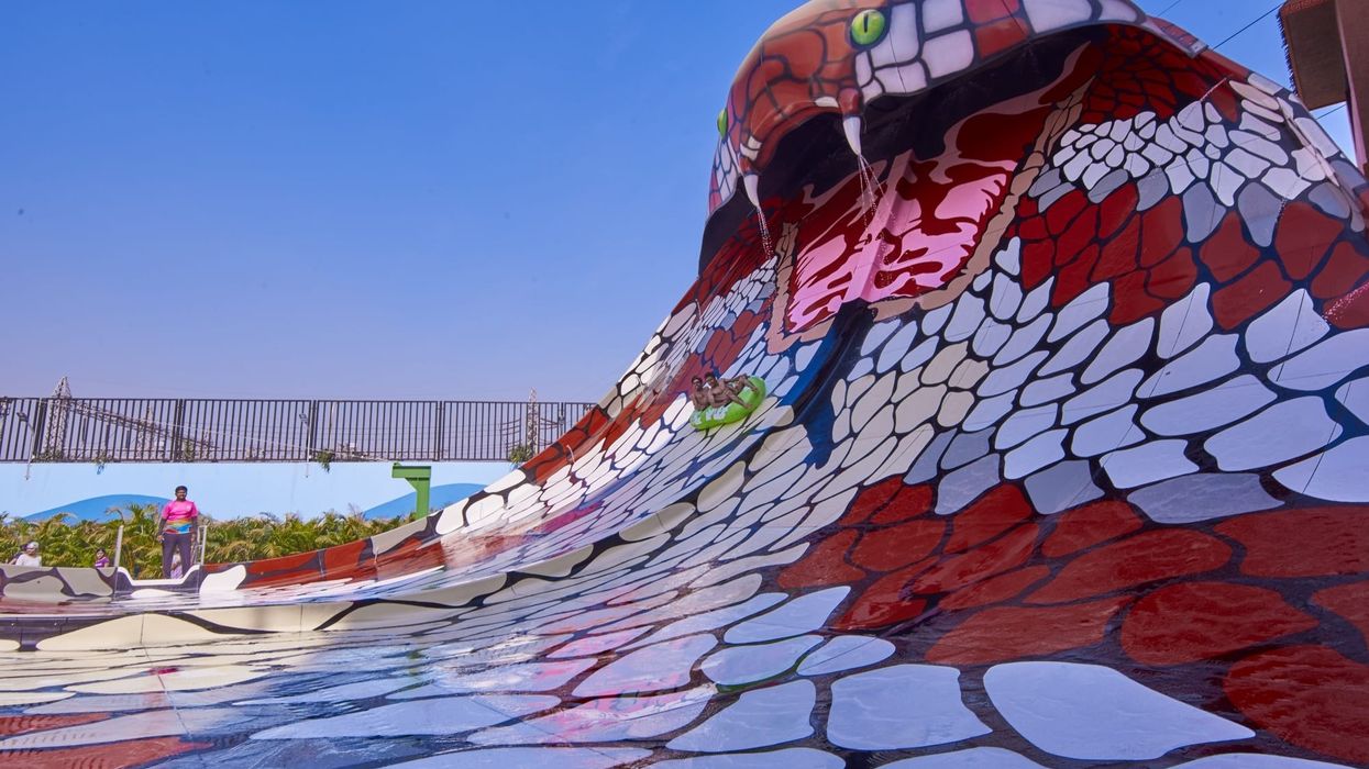 Polin's Iconic King Cobra Waterslide Debuts in India at Amaazia Waterpark
