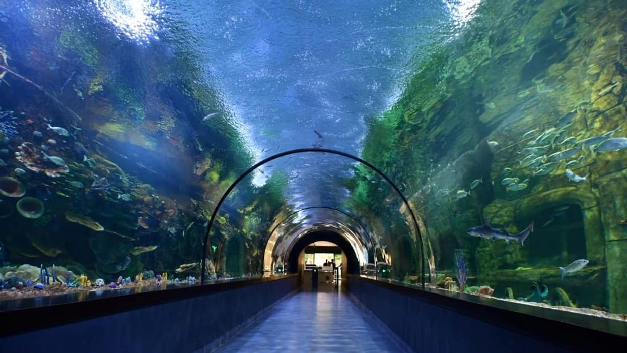 Polin Trabzon Aquarium Tunnel