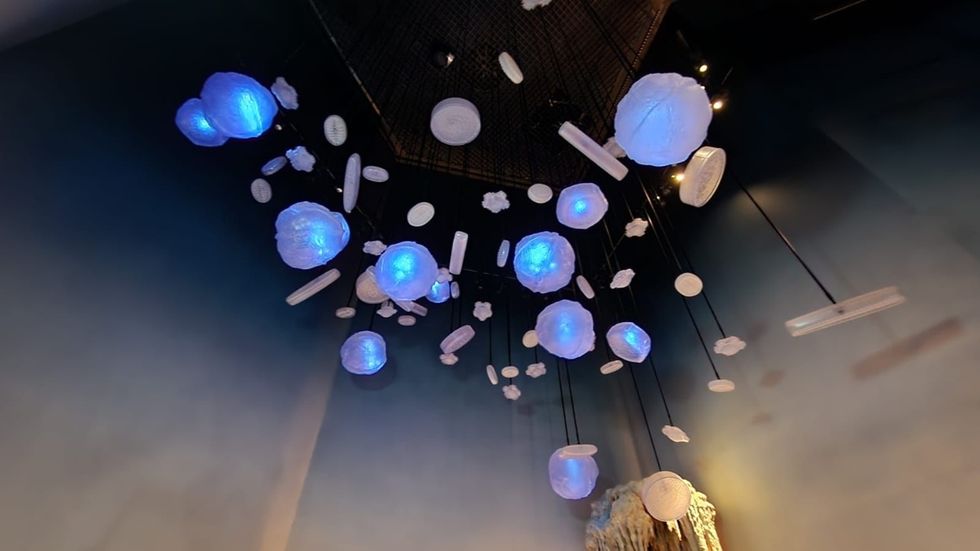 Pollen and Diatoms: 3D printed pollen and diatoms with hanging rods fabricated by ADKS ME; lighting by ALEC fitout.