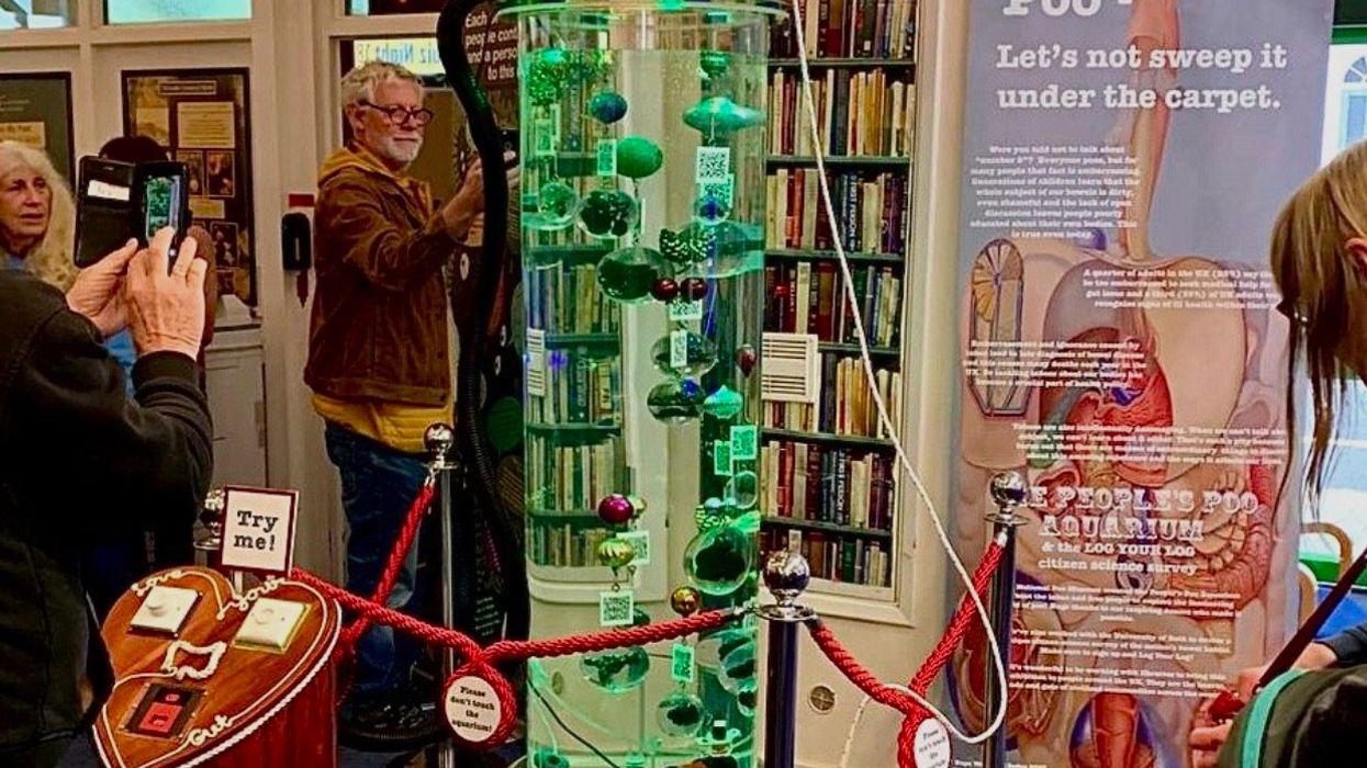 poo museum isle of wight