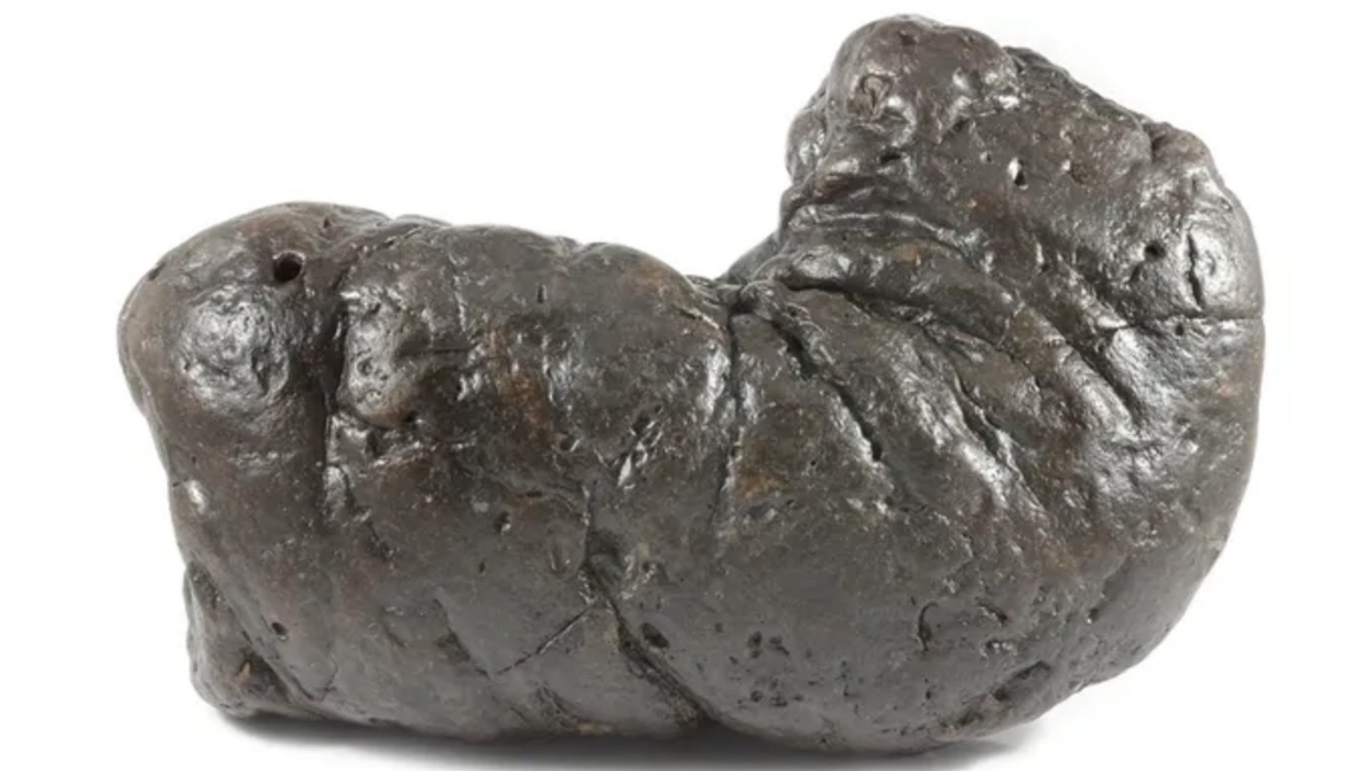 poozeum