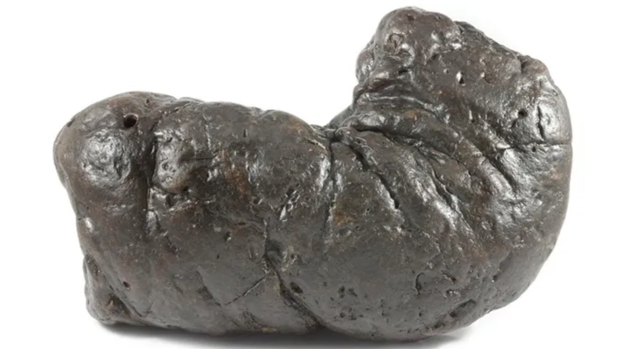 poozeum