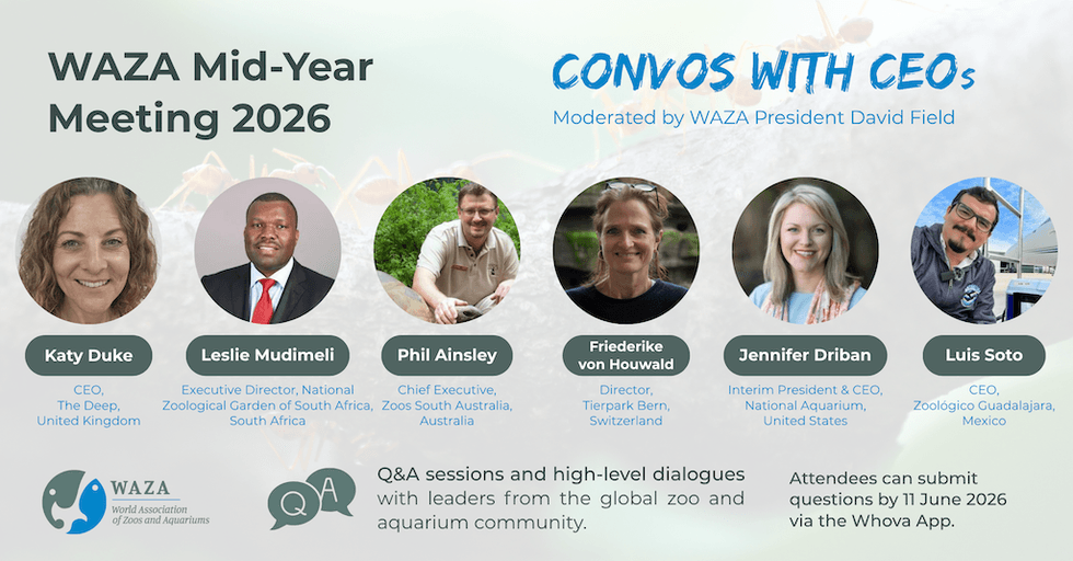 Poster reads "WAZA Mid-Year Meeting 2026: Convos with CEOs" featuring headshots of global zoo leaders.