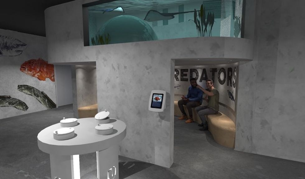 Predators reefLIVE belfast