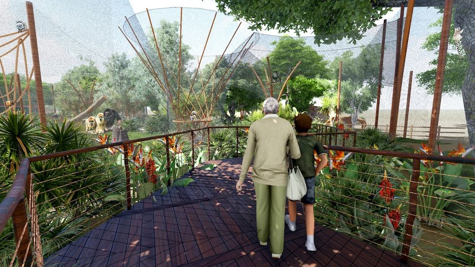 Primate Forest Concept Santa Ana Zoo