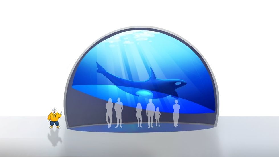 project syntropy ImmersiveDome