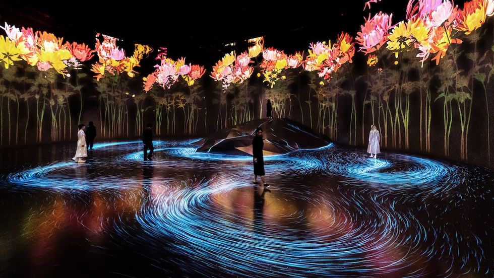 Proliferating Immense Life - A Whole Year per Year teamLab