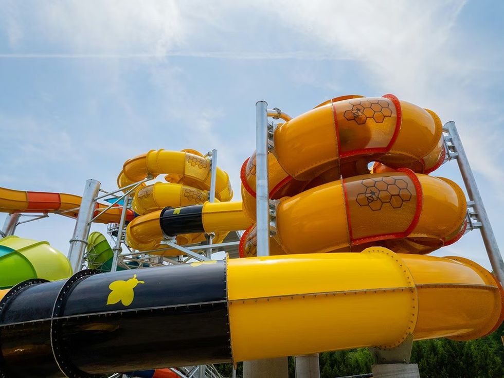 ProSlide HIVE at Zoombezi Bay Waterpark