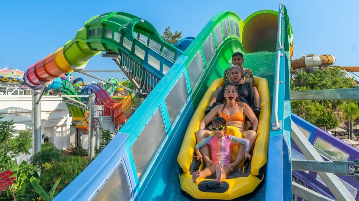 ProSlide Technology Inc Turtle Coaster