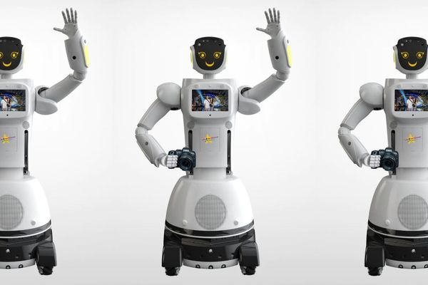 purple robot showtime entertainment