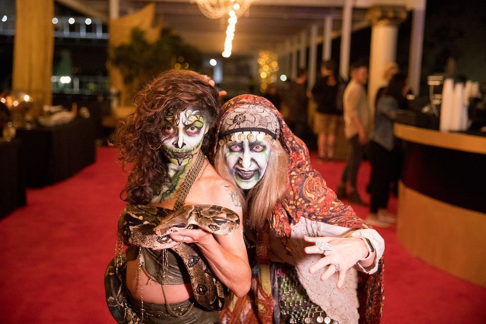 queen mary dark harbor mycotoo