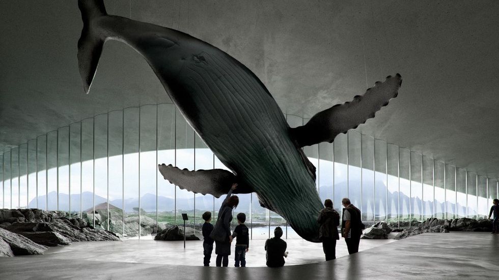 RAA selected as exhibition designer for The Whale The Whale, Dorte Mandrup AS. Rendering by Mir, Bergen. interior