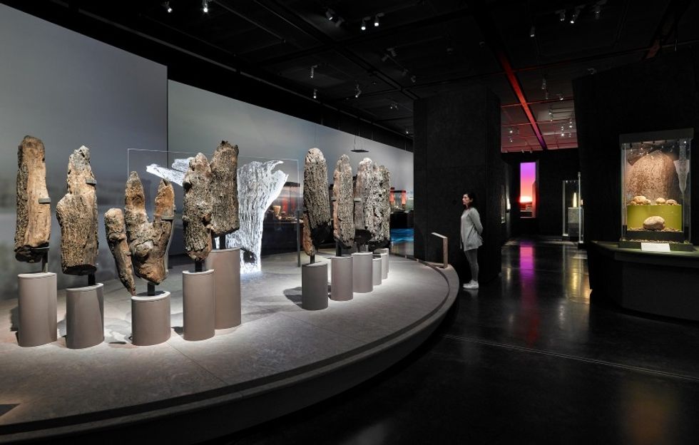 RAA World of Stonehenge The British Museum Seahenge Exhibit