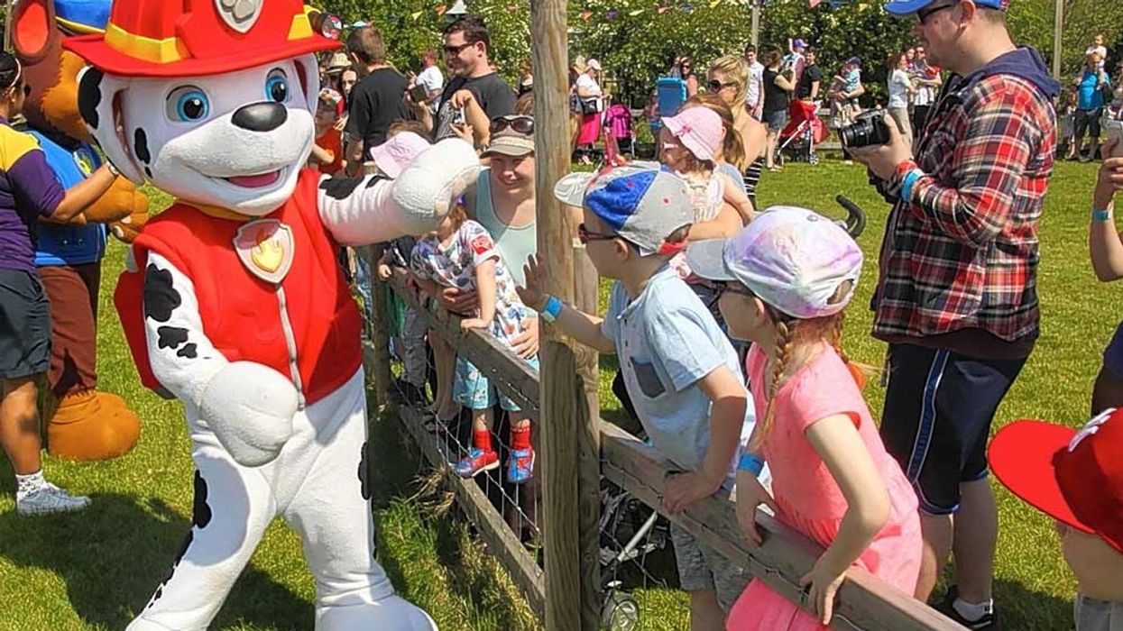 Rainbow productions at NFAN paw patrol farm attraction