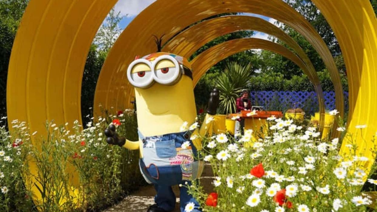 Rainbow Productions Minions Kevin - Bloom Festival