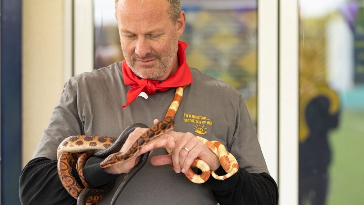 Rainbow Productions Simon Director with Snake