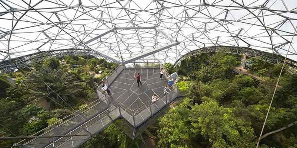 rainforest lookout hufton and crow eden project biome