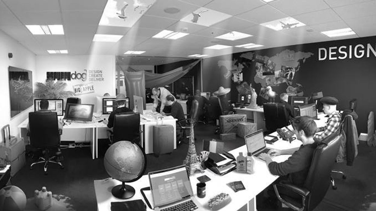 rapidly expanding scruffy dog announces global recruitment drive