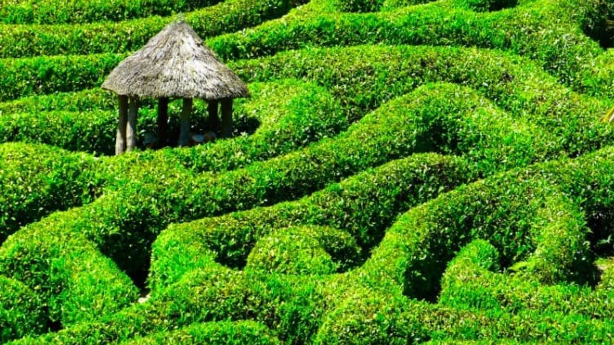 Raven Sun Interactive narrative storytelling