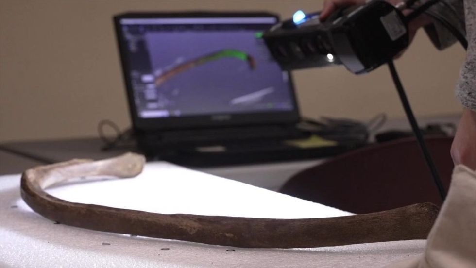 RCI scan mastodon bones Grand Rapids