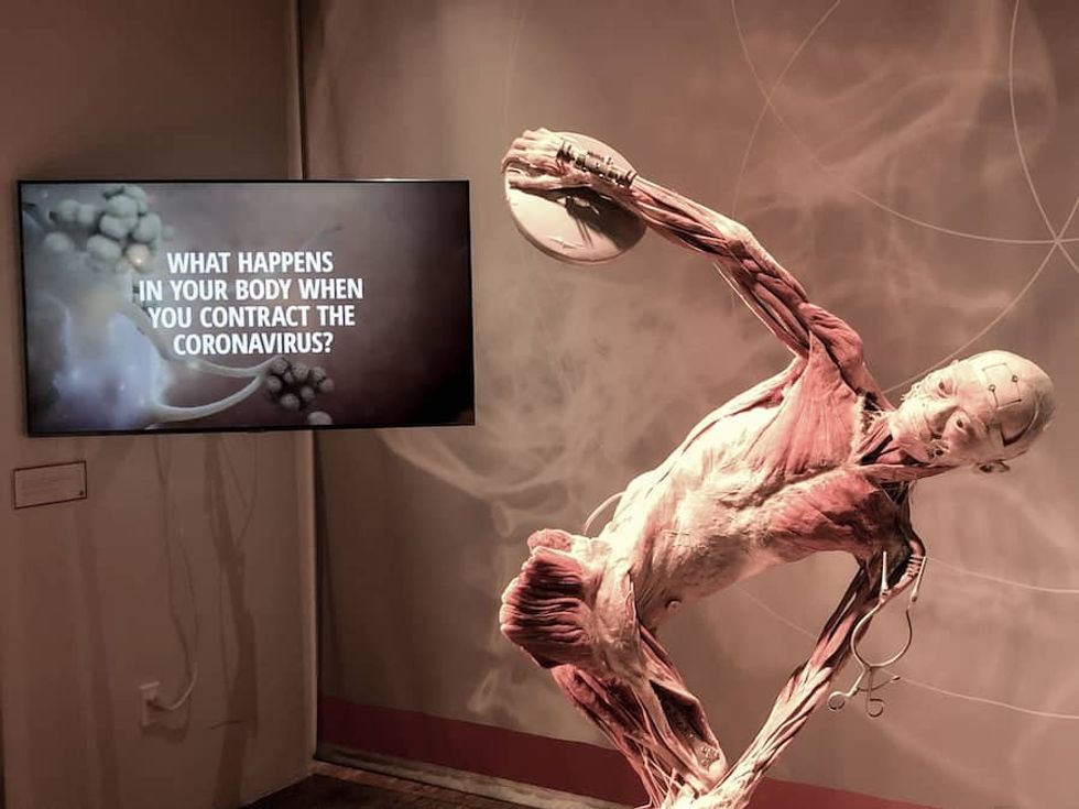 Real Bodies COVID-19