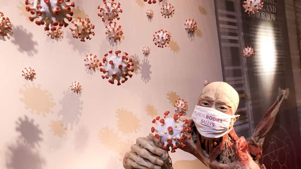 Real Bodies COVID imagine exhibitions