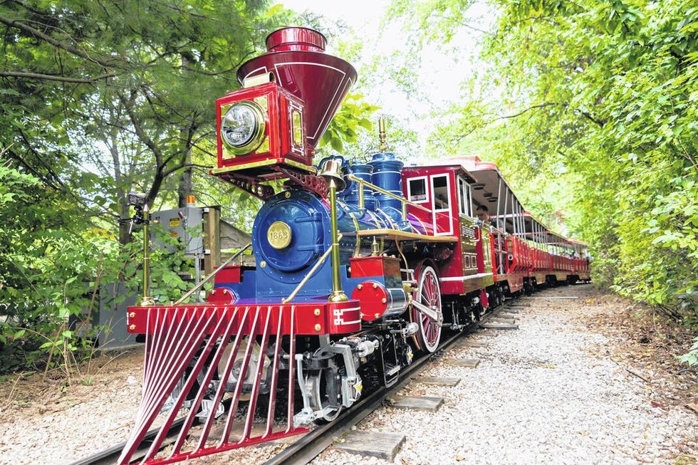 Red and blue vintage train on a track through lush greenery.